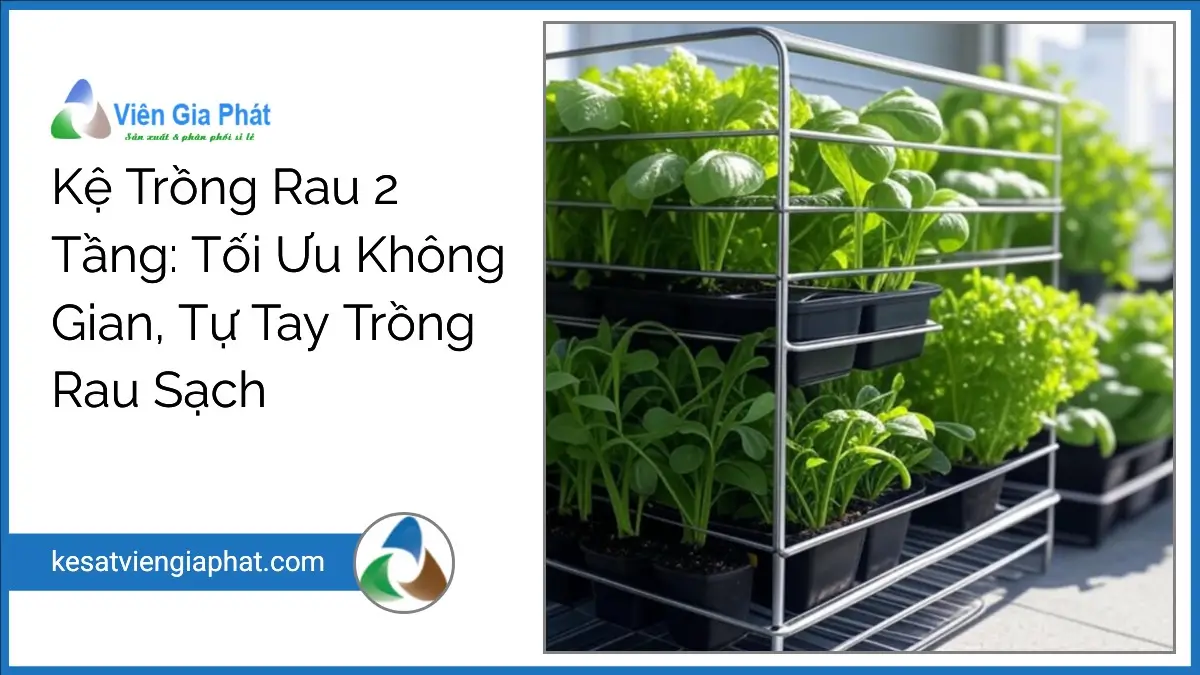 Kệ trồng rau 2 tầng của Viên Gia Phát, thiết kế hiện đại, gọn gàng trên ban công, tối ưu không gian trồng rau sạch